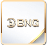 BNG 電子 老虎機